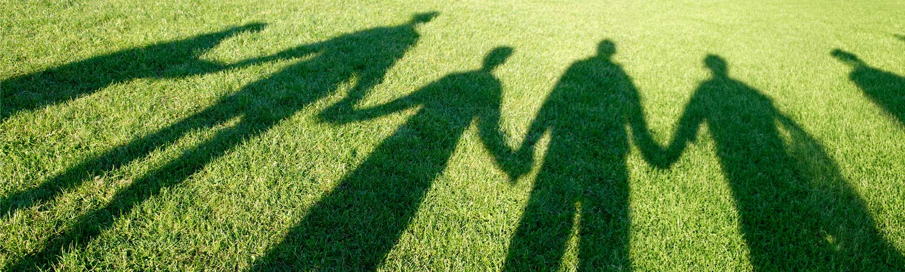 Shadows of five figures holding hands on a sunlit grassy field.