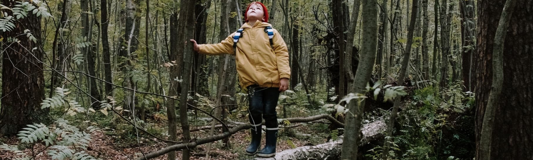 child stands on a fallen log looking at the sky in a tree-filled forest