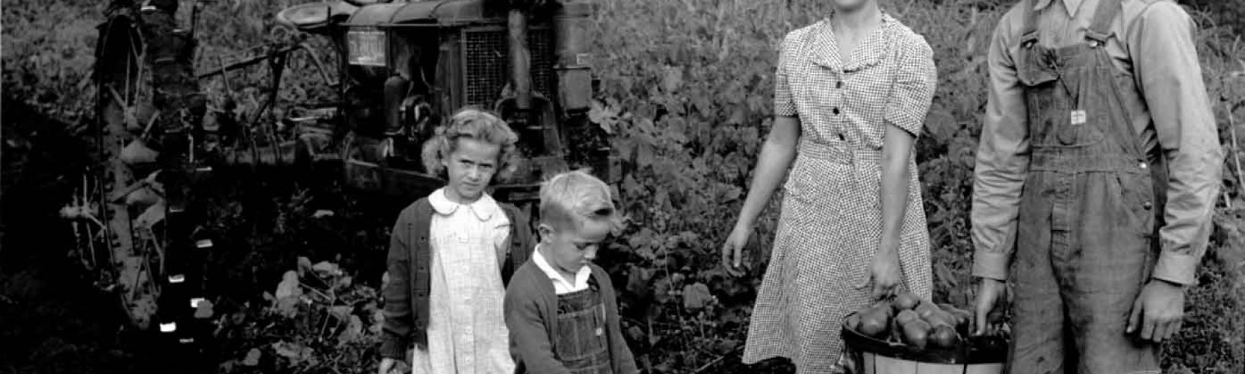 Farm family picking tomatoes. Warren County, 1945.