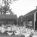 Chicken Yard, Grant Township, ca. 1940