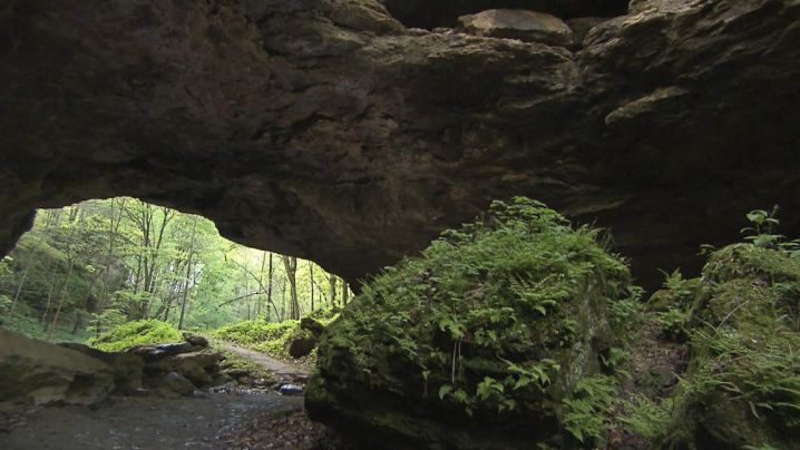 Cave entrance at Maquoketa Caves State park.