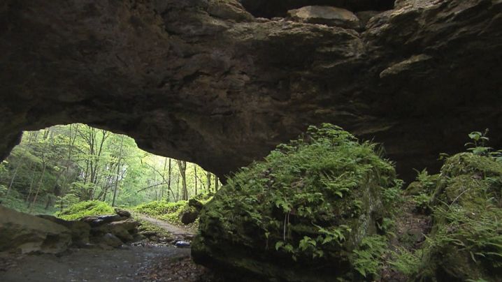 Cave entrance at Maquoketa Caves State park. 