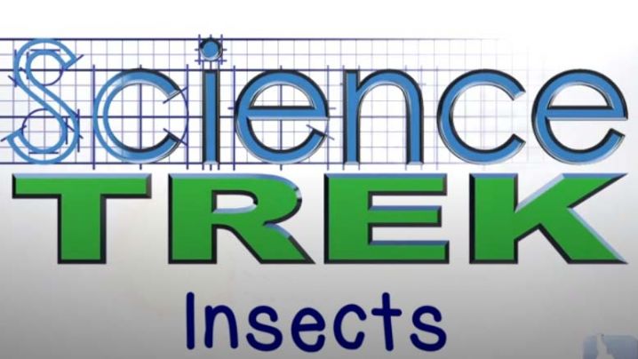 Science Trek, Insects