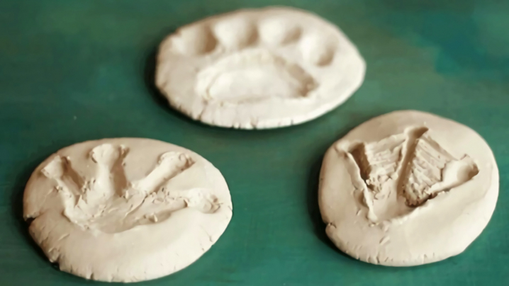 Three flat pieces of clay shaped like a cookie with homemade animal tracks on them.