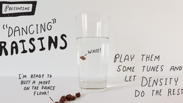 A glass with clear liquid and a raisin inside. Text beside the raisin says “whee.” The text around the glass says “presenting dancing raisins” and “I’m ready to bust a move on the dance floor” with a line pointing to a raisin. Additional text says “Play them some tunes and let density do the rest.”