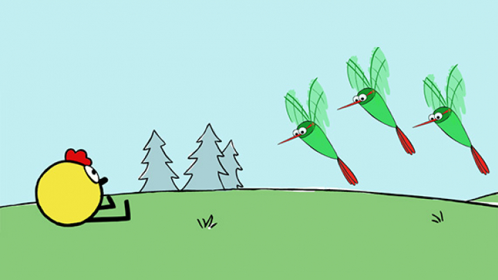 Peep watches as three humming birds fly near him.