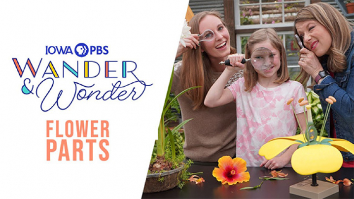 Wander and Wonder Flower Parts