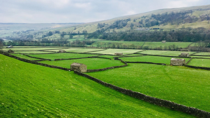 Yorkshire Dales