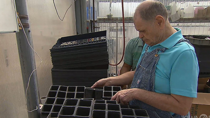 Lynn prepares containers for seedlings