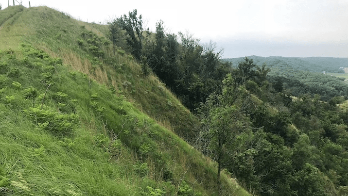 Cat hills at Loess