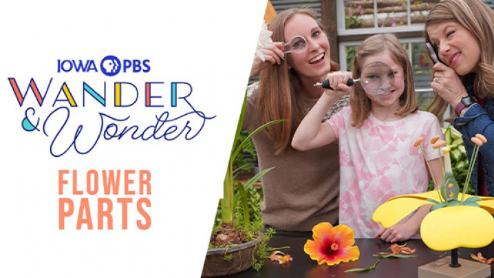Wander and Wonder, Flower Parts