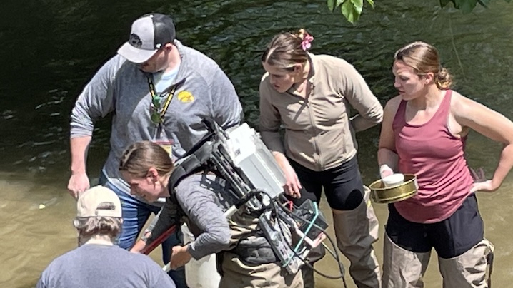 Teachers in creek capturing macroinvertebrates