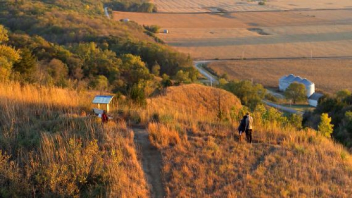 A hilly landscape of the Loess Hills