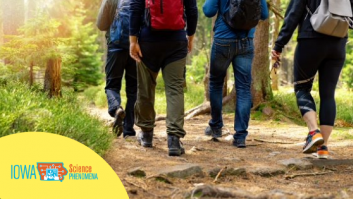 a group of hikers walking on a trail