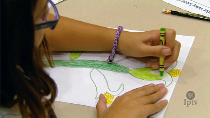 A young girl colors a corn stalk.