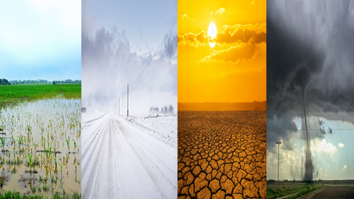 A flooded farm field. A snowy road during a blizzard. The Sunsetting on dry land. A tornado in the distance.