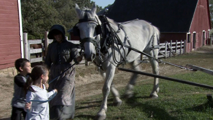 A woman leading a horse around a grinding stone.
