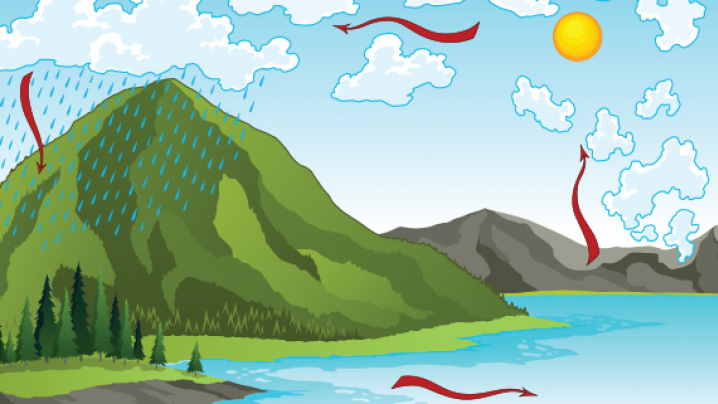 An illustration of a mountain with rain, a forest, a body of water, and weather patterns with the sun and clouds.