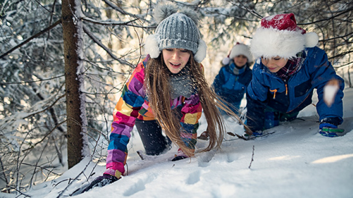 Children climb a snowy slope in a forest looking at animal tracks in the snow.