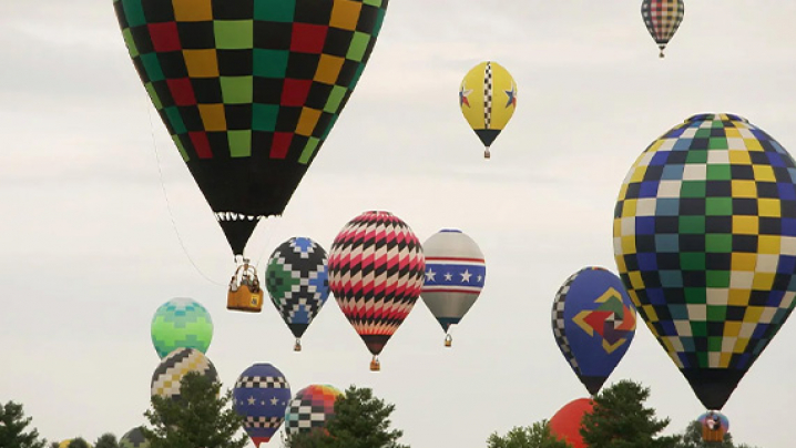 A variety of colorful hot air balloons in different patterns and sizes float above a green landscape under a cloudy sky.