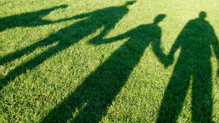 Shadows of five figures holding hands on a sunlit grassy field.