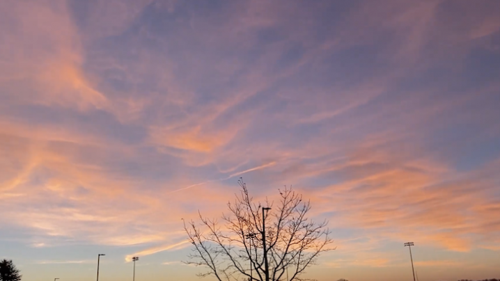 sunset over a tree