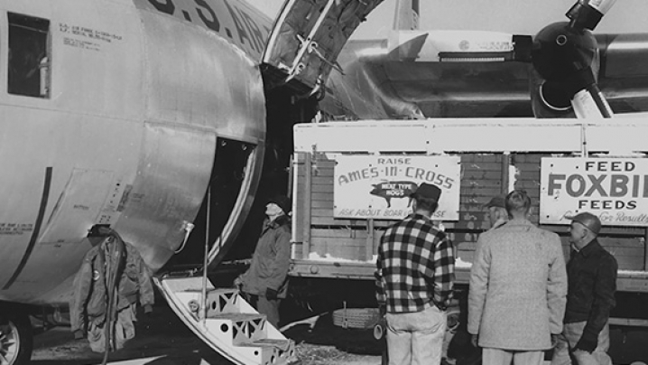 Four men standing on the tarmac at Des Moines Interanational Airport as hogs are loaded into an airplane.