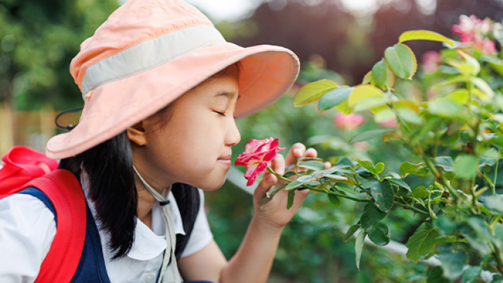 Child in a peach sun hat examines a pink flower on a leafy shrub.