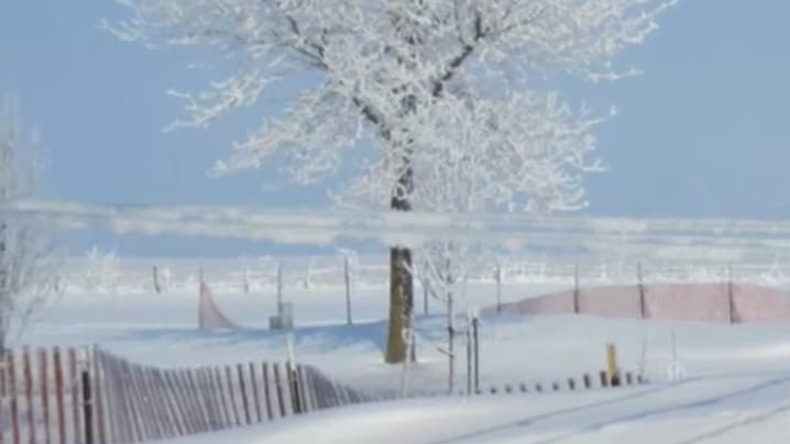 snow fences in a yard
