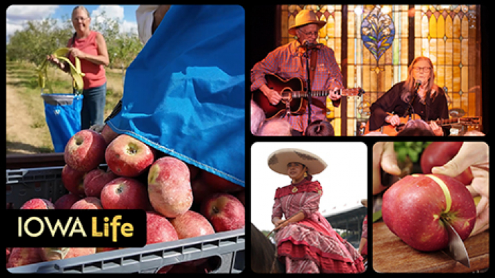 Iowa Life logo, apples, a man and woman play guitar, and a woman atop a horse.