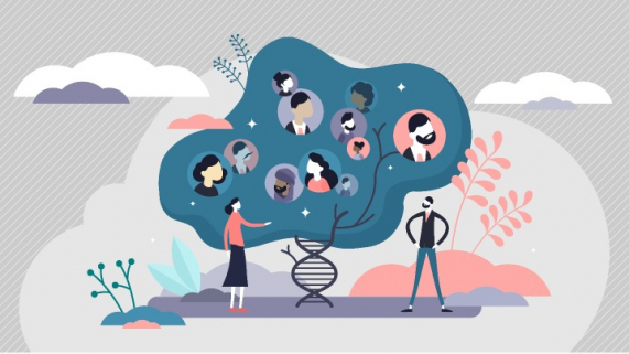 Two cartoon people looking at a family tree