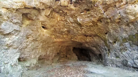 Rock walls around the opening of Crawl Cave. 