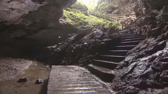Wet stairs leading into the opening of a cave.