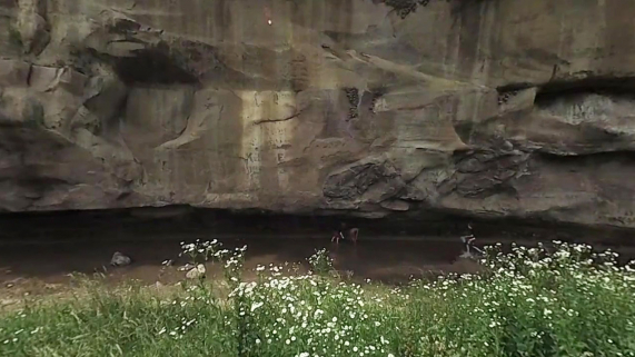 A rock wall with a stream running along it at the bottom.