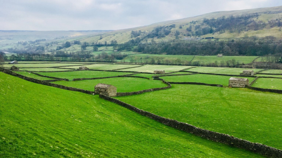 Yorkshire Dales