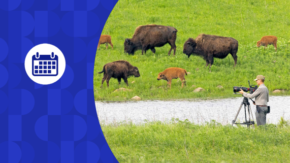 Blue calendar graphic on top of a collage of landscape of buffalo