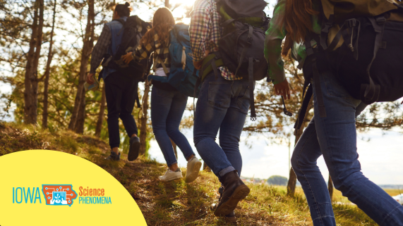 Four people in jeans walking away from the camera on a hike up a hill