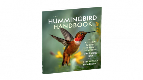 hummingbird_handbook