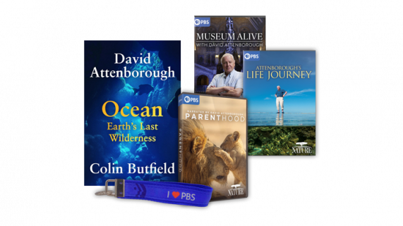 parenthood_collection