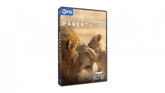 parenthood-season-1_dvd-set