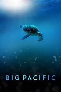Big Pacific 