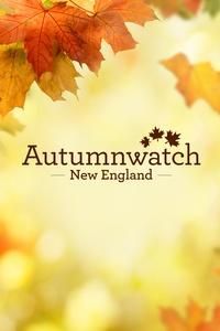 Autumnwatch