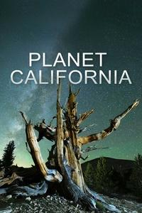 Planet California title above a dead tree under a night sky.