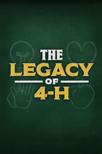 A green chalkboard with "The Legacy of 4-H" in type and four symbols - a light bulb, hands, an apple and a heart - drawn in chalk.