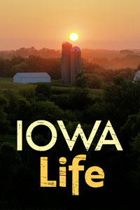 The sun sets behind two silos on a farm.