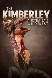 The Kimberley: Australia's Wild West title, plus a lizard shows excitement with its mouth open.