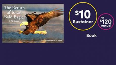 Return of Iowa' s Bald Eagles (2nd Edition) Book by Ty Smedes 