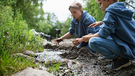 Making a Splash While Learning at Home