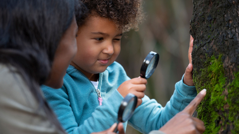 An adult and child examine a tree with a magnifying glass.