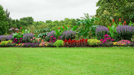 Outdoor flower garden